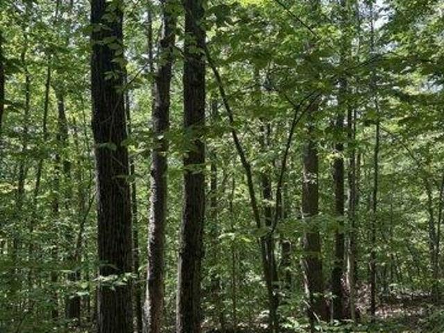 Land for sale in Salisbury, Vermont