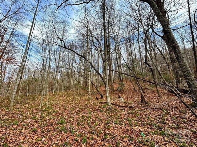 Land for sale in Saluda, North Carolina