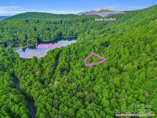 Land for sale in Saluda, North Carolina