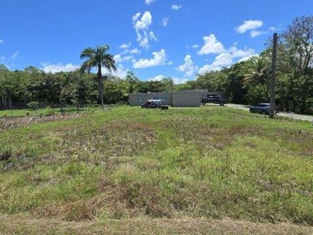 Land for sale in San Lorenzo