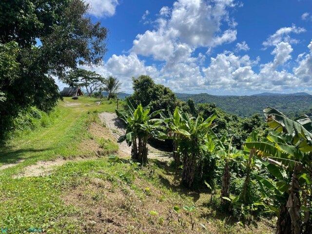 Land for sale in San Lorenzo