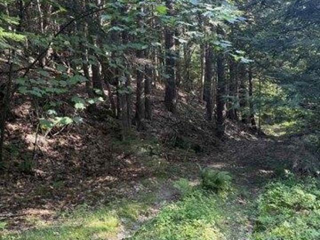 Land for sale in New Hampshire