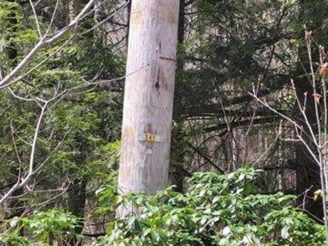 Land for sale in Berkshire, Massachusetts