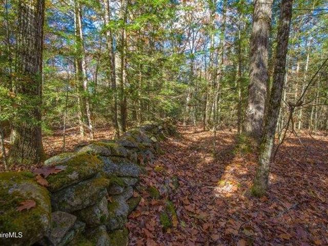 Land for sale in Berkshire, Massachusetts
