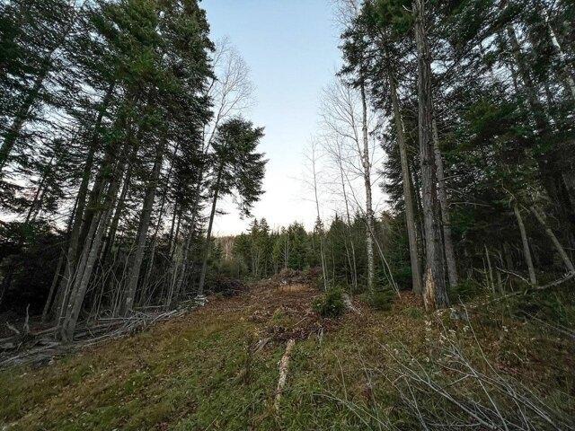 Land for sale in Maine