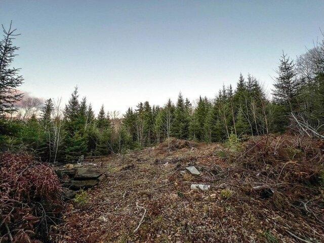 Land for sale in Maine