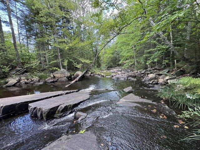 Land for sale in Maine