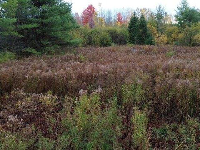 Land for sale in Sangerville, Maine