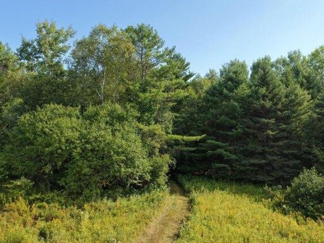 Land for sale in Sangerville, Piscataquis County