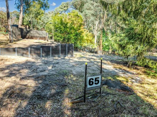 Land for sale in Sawmill Settlement
