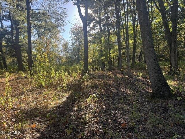 Land for sale in Niskayuna, New York
