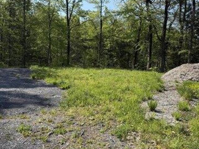 Land for sale in Duanesburg, New York