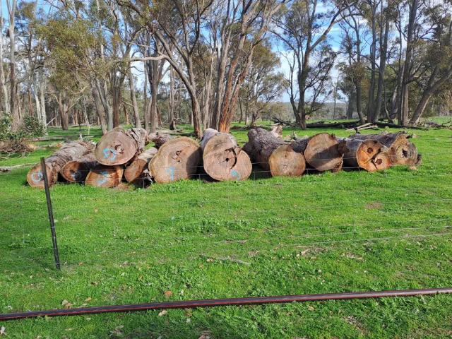 Land for sale in Scotts Brook, Shire Of Boyup Brook