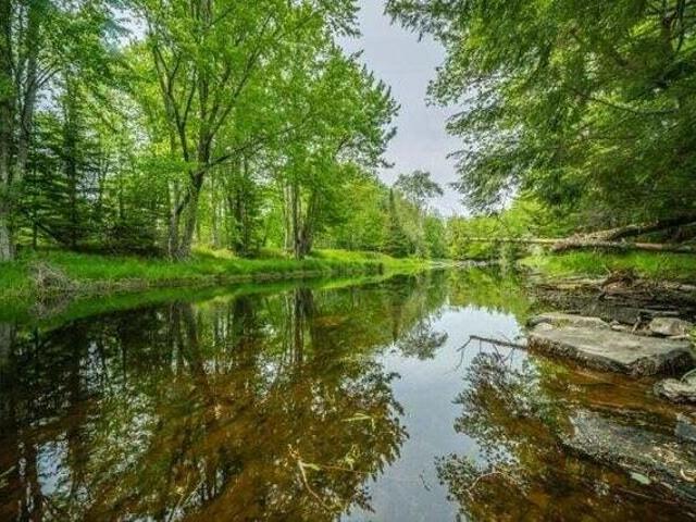Land for sale in Waldo, Maine