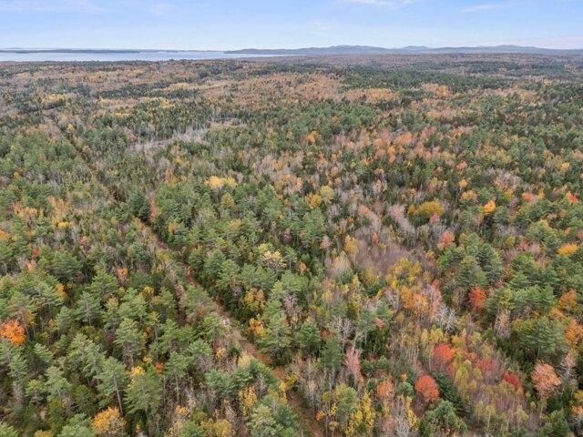 Land for sale in Waldo, Maine
