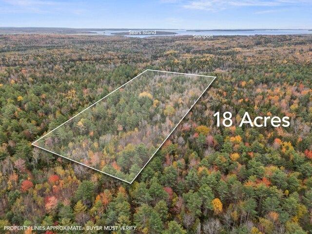 Land for sale in Waldo, Maine