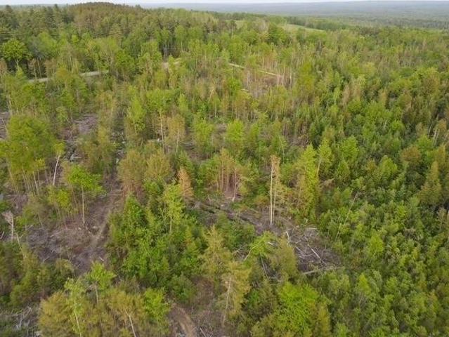 Land for sale in Sebec, Maine