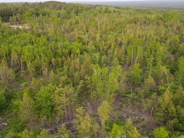 Land for sale in Sebec, Maine