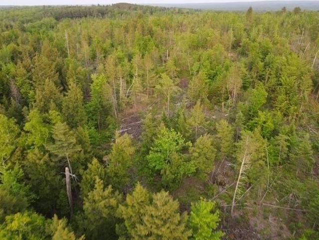 Land for sale in Sebec, Maine