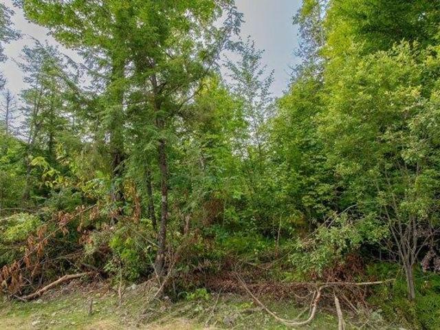 Land for sale in Sebec, Maine