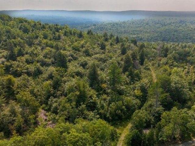 Land for sale in Barnard Township, Sebec