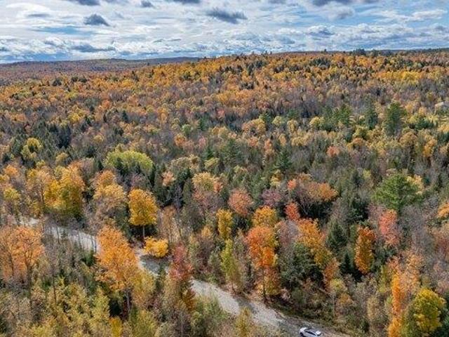 Land for sale in Barnard Township, Sebec