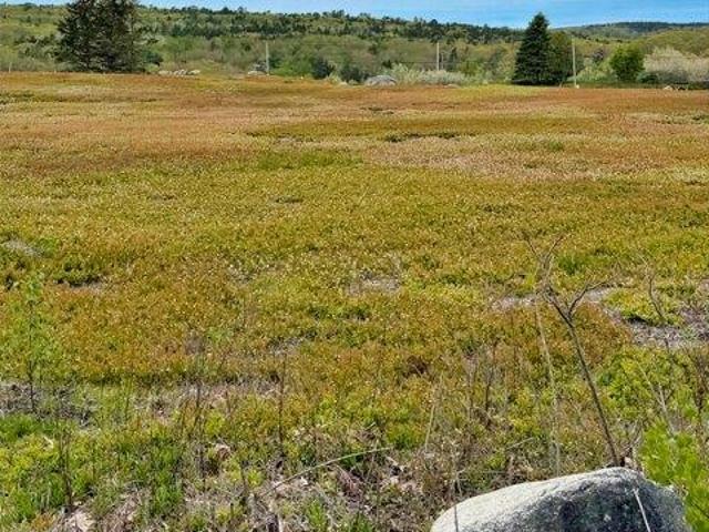 Land for sale in Sedgwick, Maine