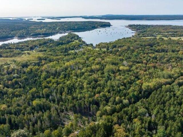 Land for sale in Sedgwick, Maine