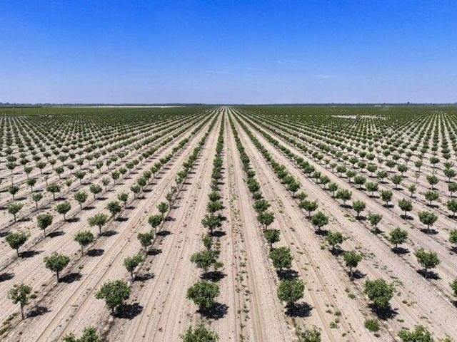 Land for sale in Selma