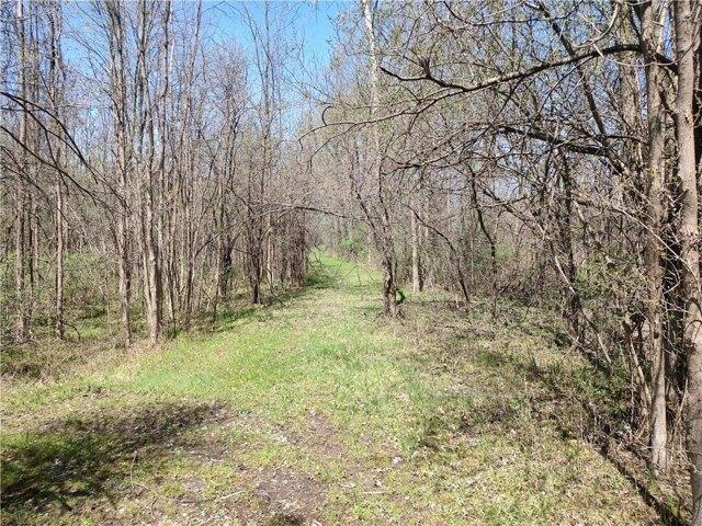 Land for sale in Seneca Falls