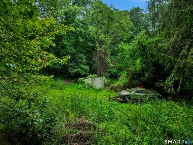 Land for sale in Seymour, Naugatuck Valley Planning Region