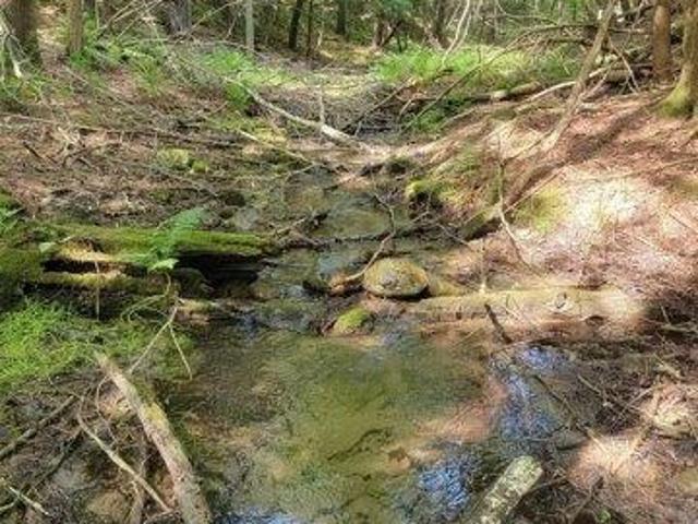 Land for sale in Bennington, Vermont