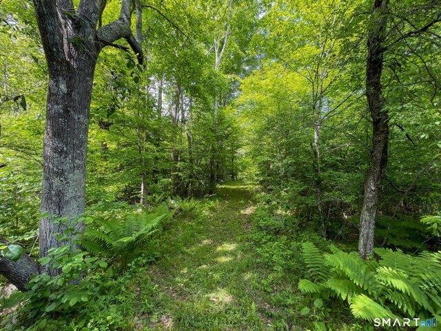 Land for sale in Sharon, Connecticut