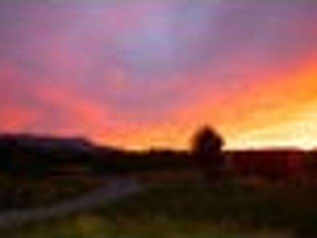 Land for sale in West Coast