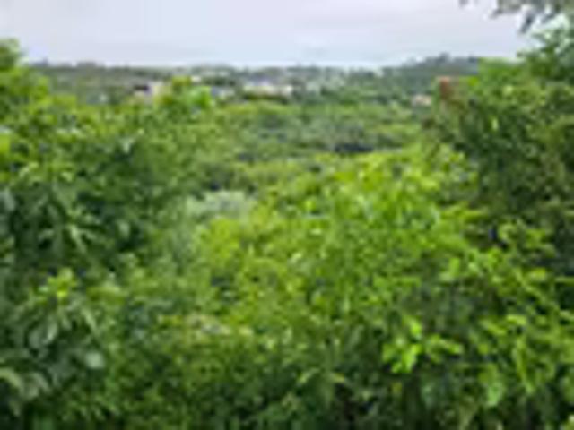 Land for sale in Princess Grant, Kwazulu-natal