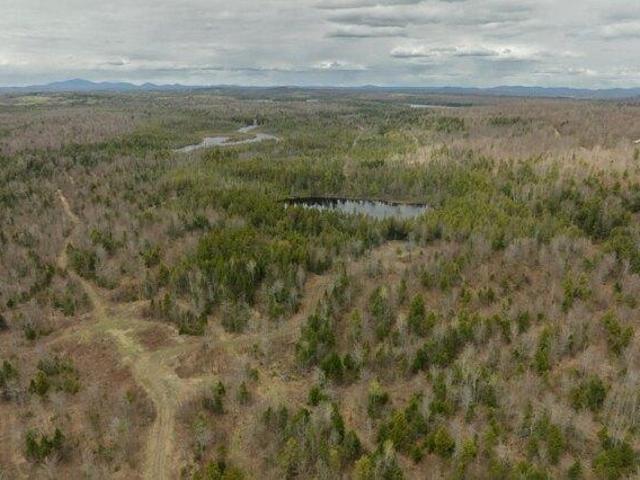 Land for sale in Maine