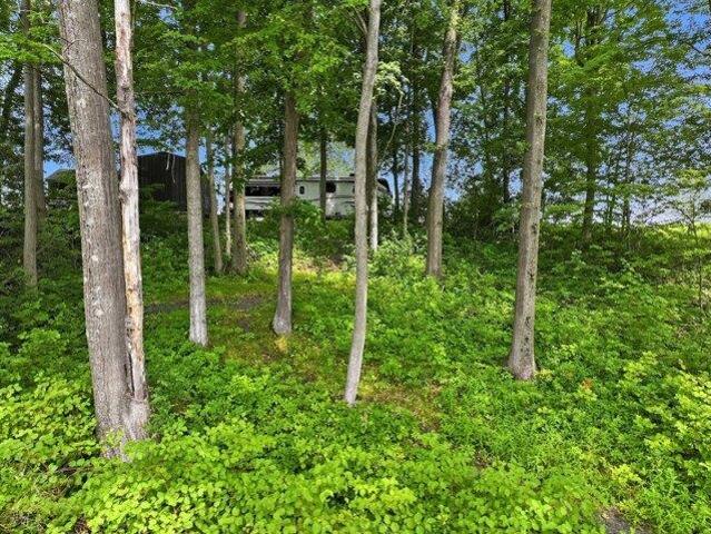 Land for sale in Shoreham, Vermont