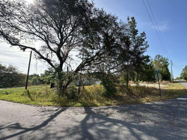 Land for sale in Florida