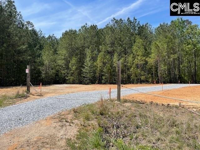 Land for sale in Silverstreet, South Carolina