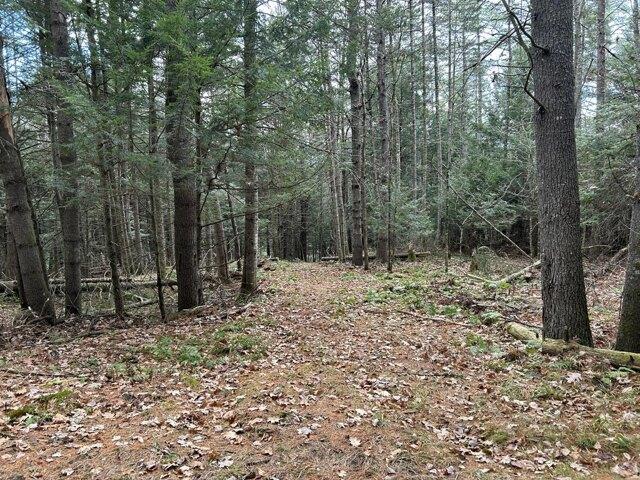 Land for sale in Skowhegan, Maine