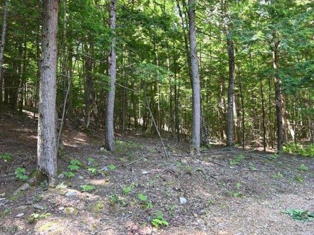 Land for sale in Skowhegan, Somerset County