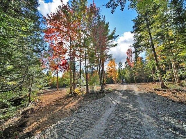 Land for sale in Ludlow, Aroostook County