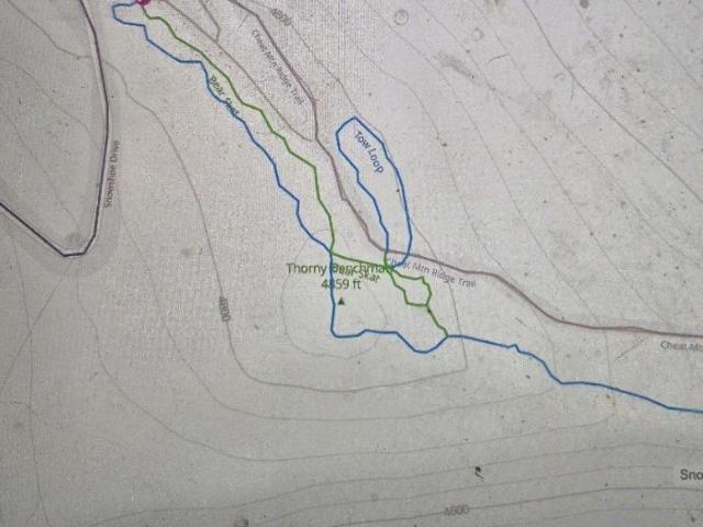 Land for sale in Snowshoe, West Virginia