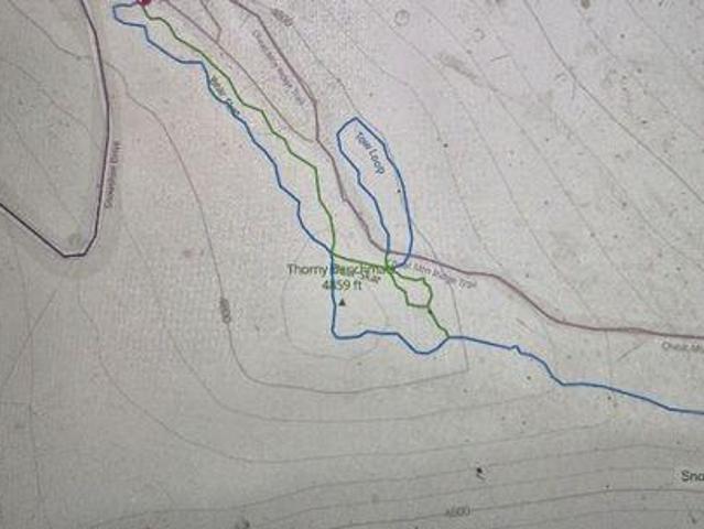 Land for sale in Snowshoe, West Virginia