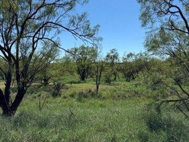 Land for sale in Snyder