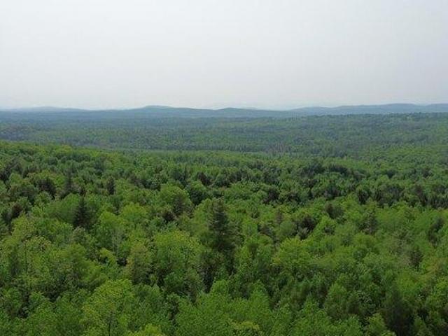 Land for sale in Solon, Maine