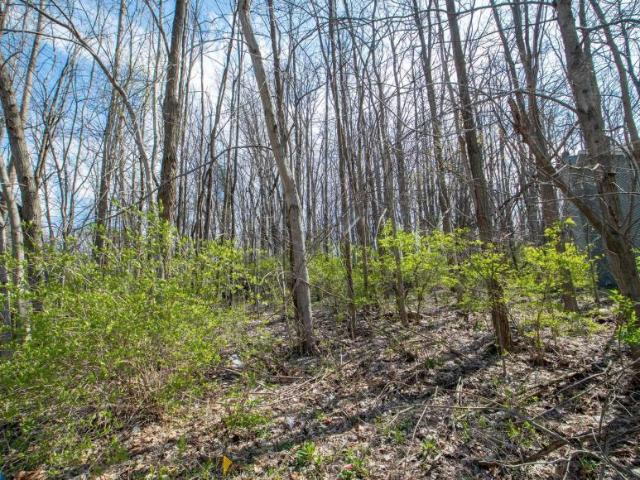 Land for sale in South Bend, Indiana