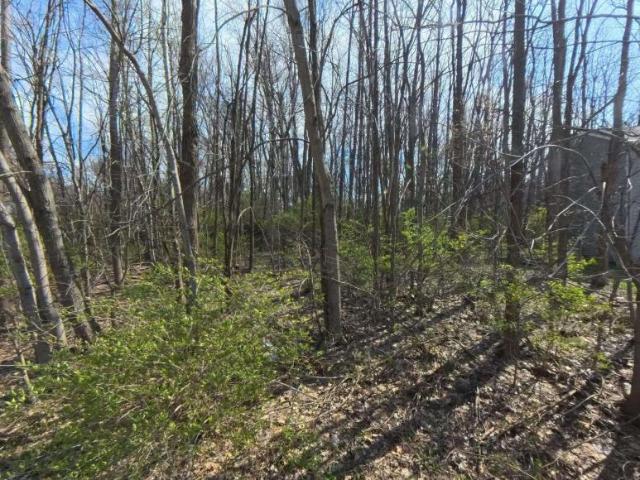 Land for sale in South Bend, Indiana