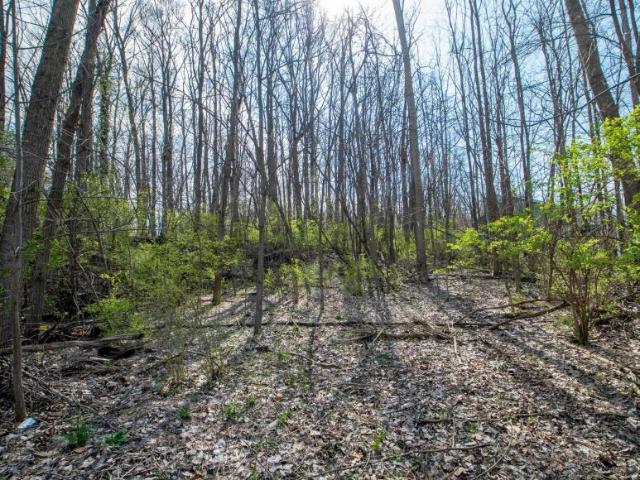 Land for sale in South Bend, Indiana