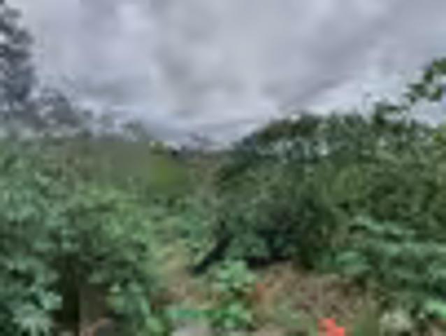 Land for sale in Eastern Cape